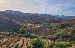 Guaro, Andalusia 29108