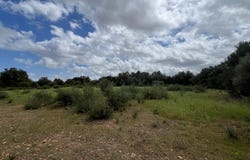 Sencelles, Balearic Islands 07140