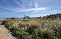 Arafo, Canary Islands