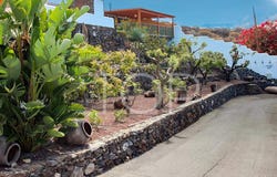 Puerto de Santiago, The Canary Islands 38683