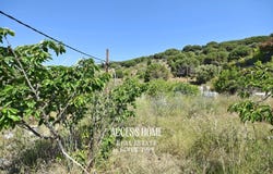 Vilassar de Dalt, Catalonia 08339
