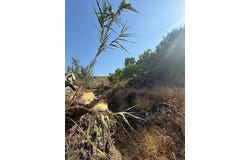 Adra, Andalusia 04770