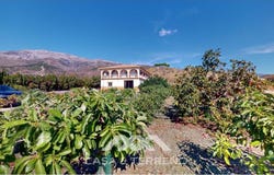 Sedella, Andalusia 29715