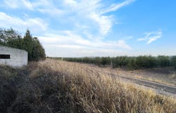 Avenida del Río Tajo, Colmenar de Oreja, Community of Madrid 28380