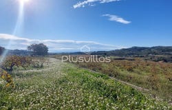 Teulada, Valencia 03725