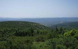 Coves de Vinromà (les), Valencian Community