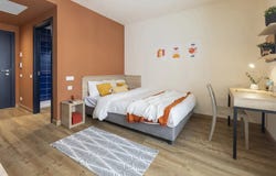 Carrer de lArquitecte Alfaro, Valencia, Valencian Community 46011