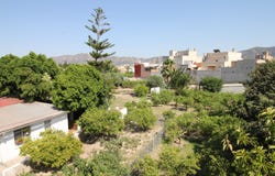 Murcia, Region of Murcia 30011