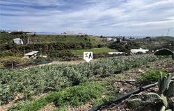 Almayate, Malaga