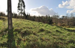 Estrada, Galicia 36680