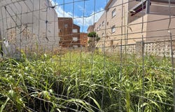 Valencia/València, Valencian Community 46711