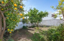 Gaucín, Andalusia