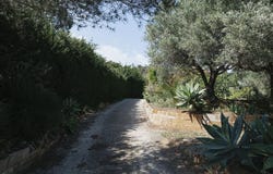 Estepona, Andalusia 29680