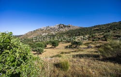 Grazalema, Andalusia 11610