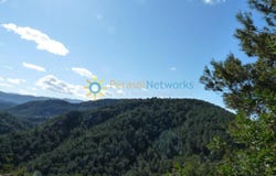 Oliva, Valencian Community 46780