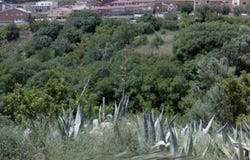 Serra, Valencian Community