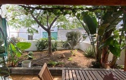Haría, Lanzarote 35520