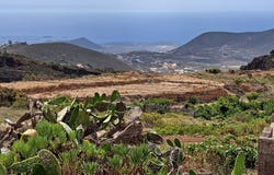 El Frontón, Canary Islands 38629