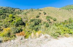 Canillas de Albaida, Málaga