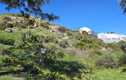Benalmádena, Andalusia 29639