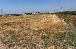 Utrera, Andalusia 41710