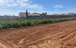 Torredembarra, Catalonia 43830