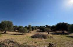 Mijas, Andalusia