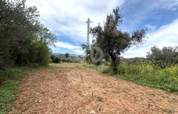 Tarragona, Catalonia 43791
