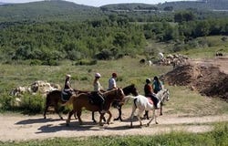 Jávea / Xàbia, Comunidad Valenciana