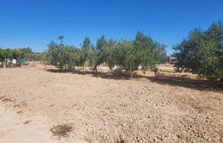 Aspe, Comunidad Valenciana