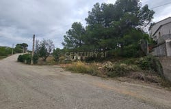 Cabra del Camp, Catalonia