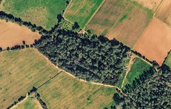 Sencelles, Balearic Islands 07140