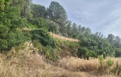 Tarragona, Catalonia 43512