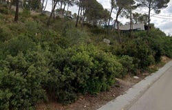 Olivella, Catalonia