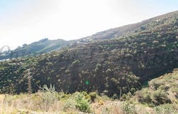 Torrox, Andalusia 29770