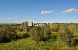Campos, Balearic Islands 07630