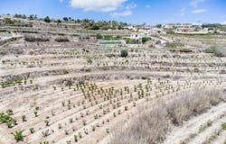 Teulada, Alicante
