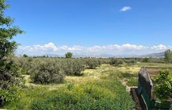 Zubia (La), Andalusia