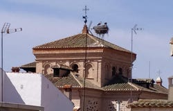 Calzada De Calatrava, Castile-La Mancha 13370