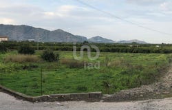 Oliva, Valencia 46780