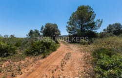 Gata de Gorgos, Valencian Community 03740