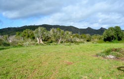 Carrer Major, Capdepera, Balearic Islands 07580