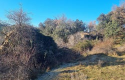 El Pla de Sant Tirs, Catalonia 25796