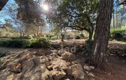 Parcent, Valencia 03792