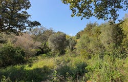 Sotogrande, Andalusia 11310