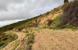 Gmar, Canary Islands