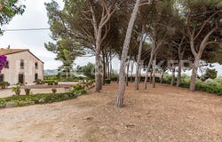 Arenys de Munt, Catalonia 08358