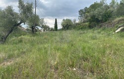 Pd Serres, Castellvell del Camp, Catalonia 43392