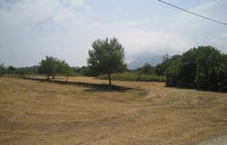 Denia, Valencian Community 03700