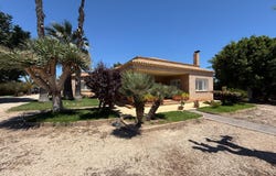 Elche pedanias, Valencian Community 03290